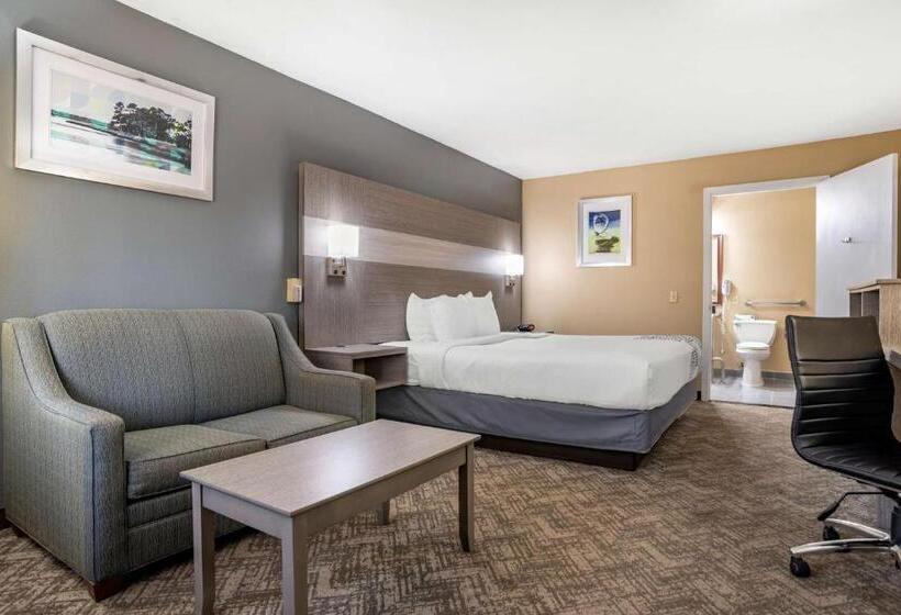 חדר סטנדרט עם מיטת קינג, Best Western Apalach Inn