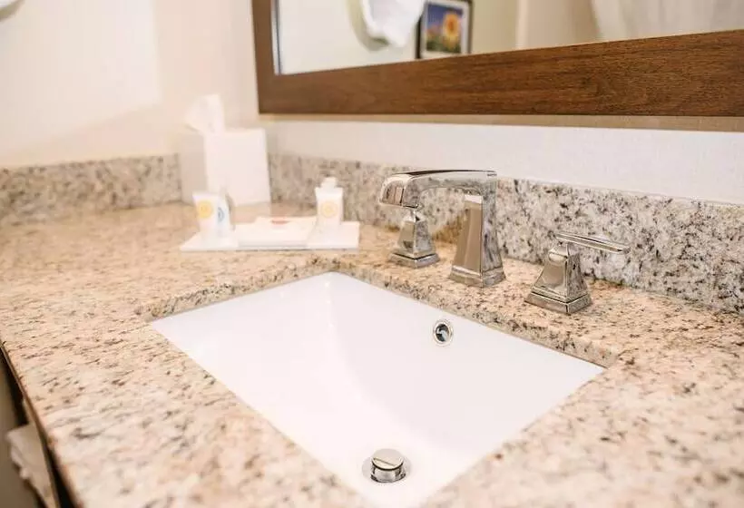 スイート, Best Western Buffalo Ridge Inn Near Mt Rushmore