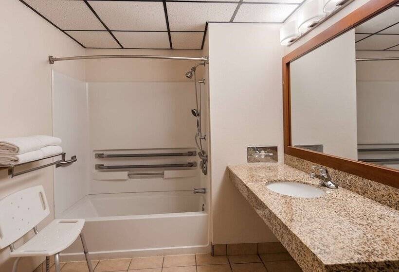 סוויטה, Best Western Buffalo Ridge Inn Near Mt Rushmore