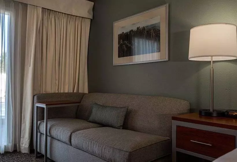 スイート, Best Western Buffalo Ridge Inn Near Mt Rushmore