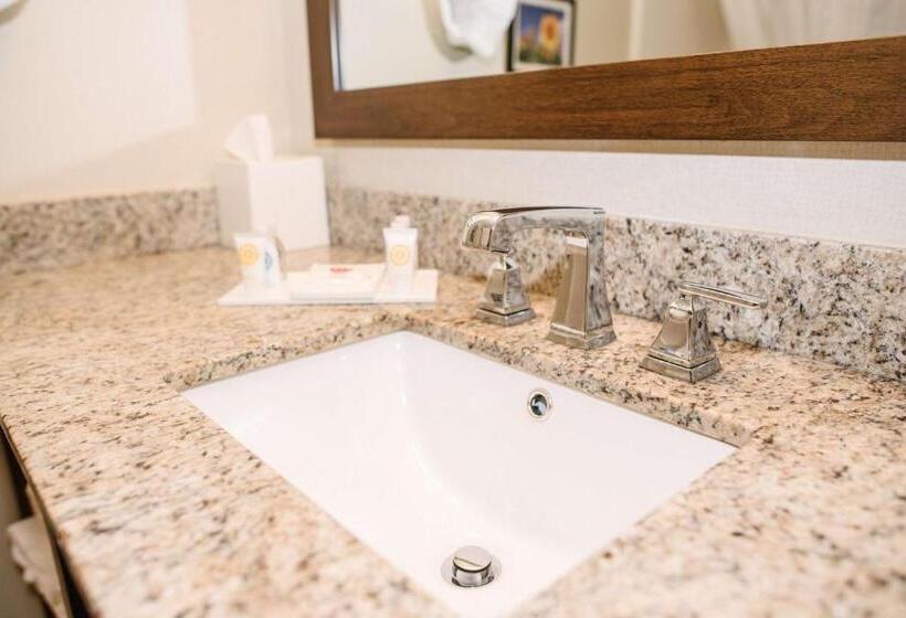 חדר סטנדרט מותאם לאדם עם מוגבלויות, Best Western Buffalo Ridge Inn Near Mt Rushmore