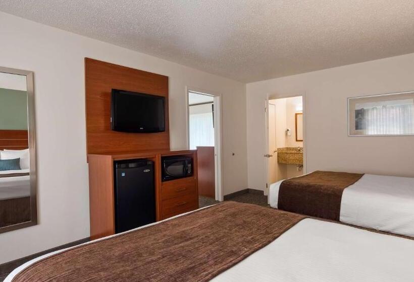 חדר סטנדרט מותאם לאדם עם מוגבלויות, Best Western Buffalo Ridge Inn Near Mt Rushmore