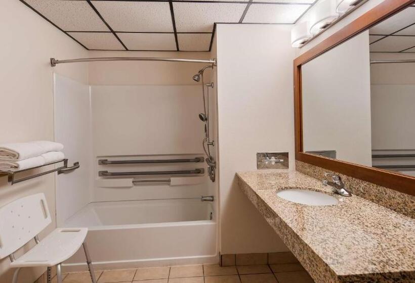 장애인을 위한 스탠다드 룸, Best Western Buffalo Ridge Inn Near Mt Rushmore