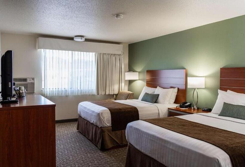 חדר סטנדרט מותאם לאדם עם מוגבלויות, Best Western Buffalo Ridge Inn Near Mt Rushmore