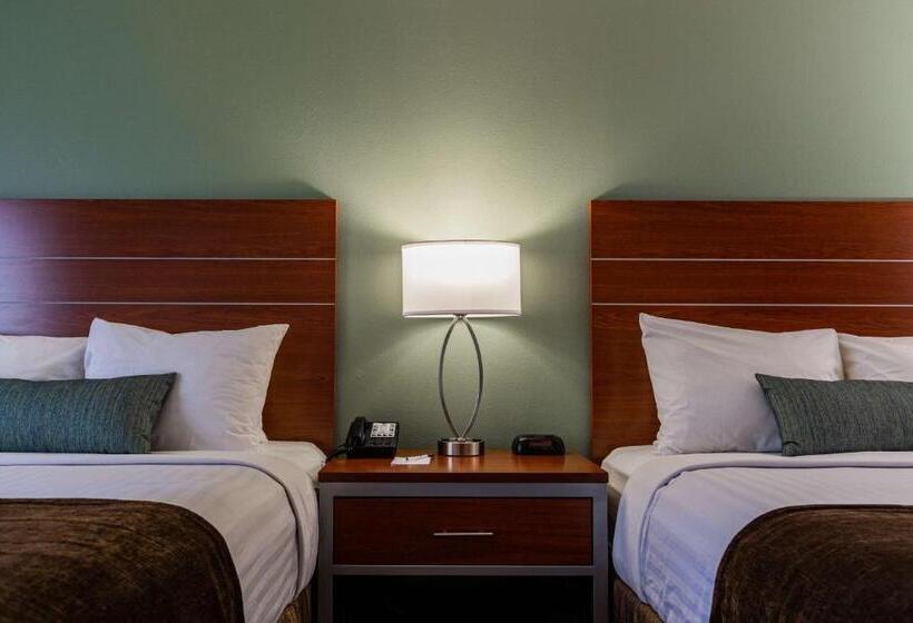 חדר סטנדרט מותאם לאדם עם מוגבלויות, Best Western Buffalo Ridge Inn Near Mt Rushmore