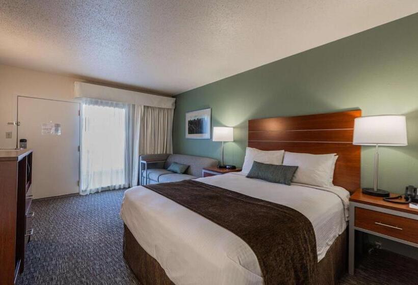 스탠다드 룸, Best Western Buffalo Ridge Inn Near Mt Rushmore