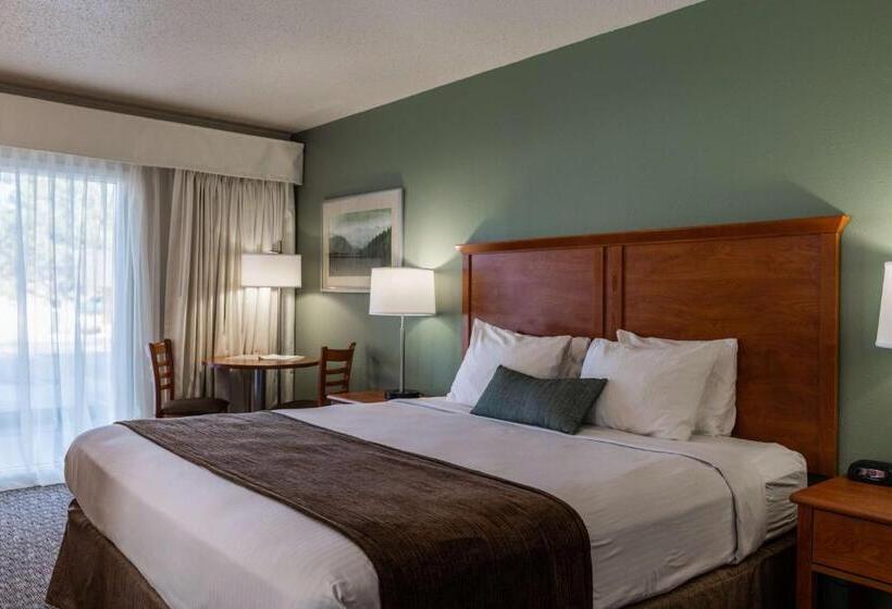 스탠다드 룸, Best Western Buffalo Ridge Inn Near Mt Rushmore