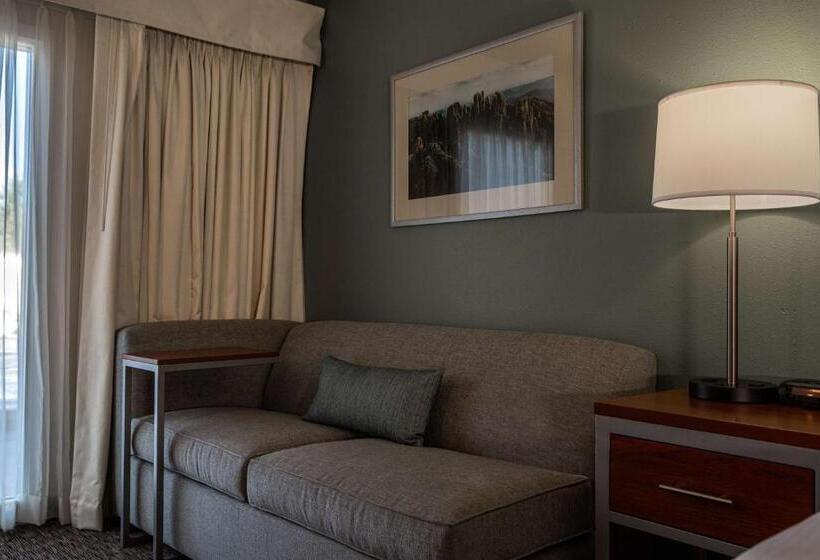 장애인을 위한 킹사이즈 침대 스탠다드 룸, Best Western Buffalo Ridge Inn Near Mt Rushmore