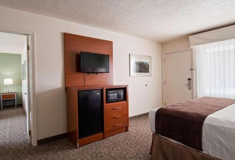 장애인을 위한 킹사이즈 침대 스탠다드 룸, Best Western Buffalo Ridge Inn Near Mt Rushmore