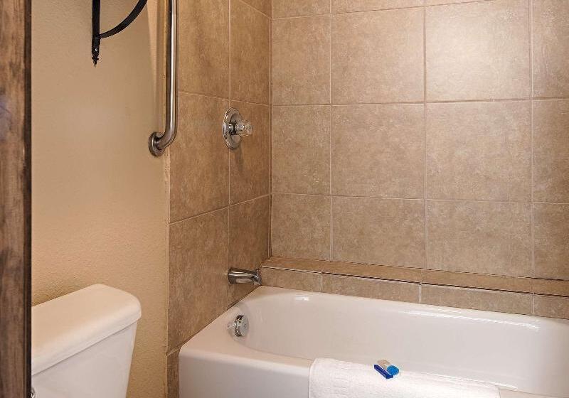 Стандартный Номер Кровать Кинг, Best Western George West Executive Inn