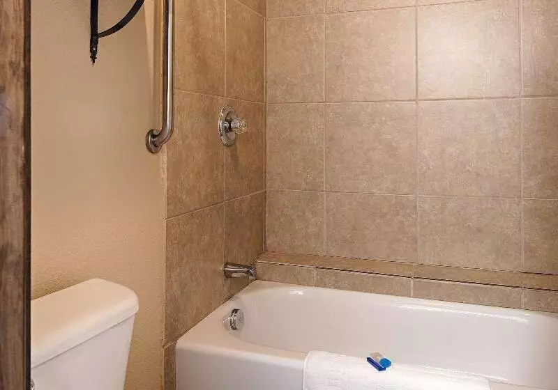 キングサイズベッドのスタンダードルーム, Best Western George West Executive Inn