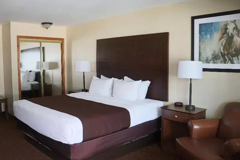 キングサイズベッドのスタンダードルーム, Best Western George West Executive Inn