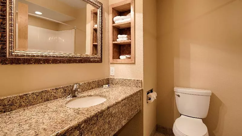 キングサイズベッドのスタンダードルーム, Best Western George West Executive Inn