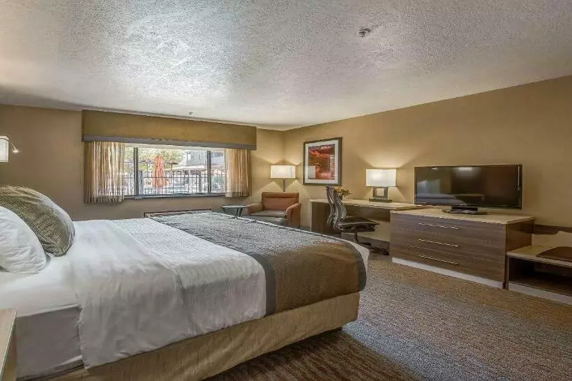 身障者適用キングサイズベッドルーム, Best Western Plus Canyonlands Inn