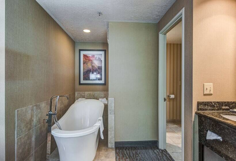 Президентский Люкс, Best Western Plus Canyonlands Inn