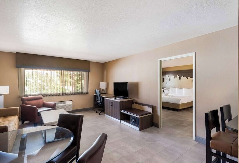 סוויטה נשיאותית, Best Western Plus Canyonlands Inn
