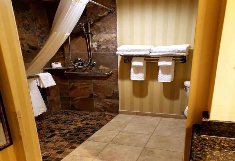 适合残疾人使用的标准间, Best Western Plus Canyonlands Inn
