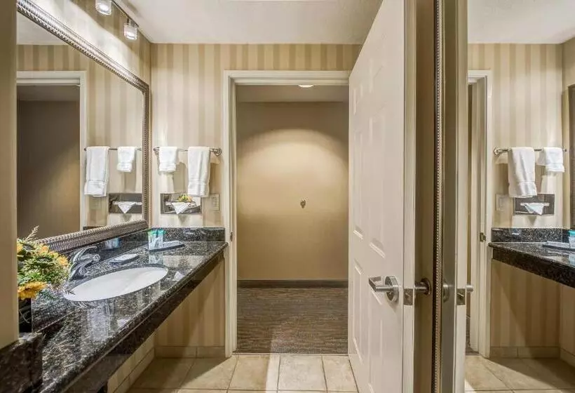 身障者適用キングサイズベッドルーム, Best Western Plus Canyonlands Inn