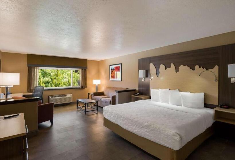 适合残疾人士使用的带超级大床的标准间, Best Western Plus Canyonlands Inn