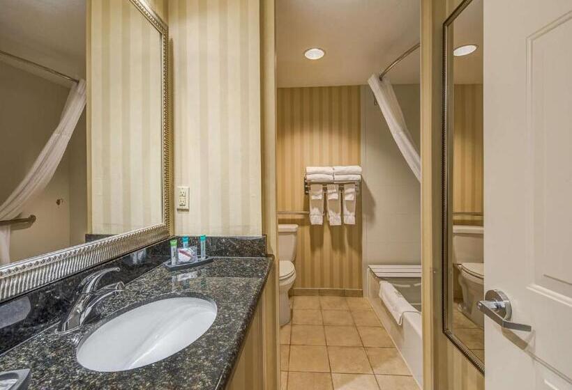 Номер Стандарт Кровать Кинг Адаптированный для Инвалидов, Best Western Plus Canyonlands Inn