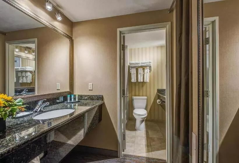 スーペリアースイート, Best Western Plus Canyonlands Inn