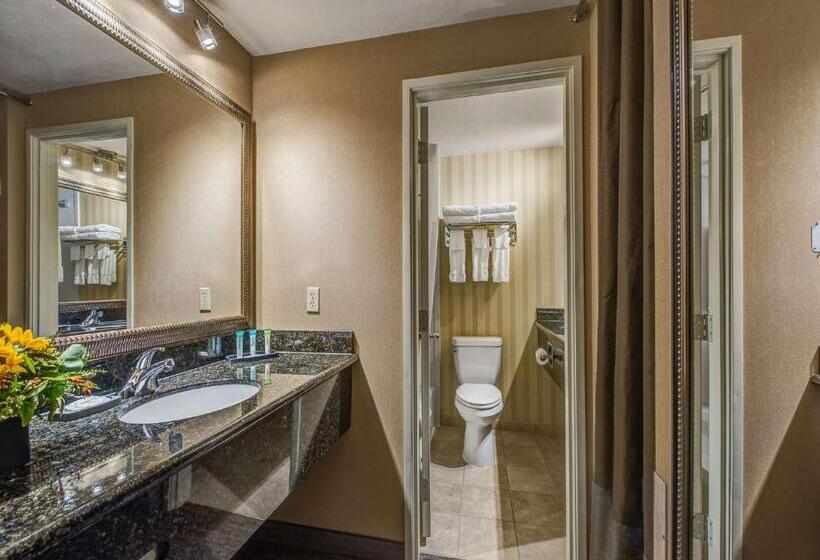 סוויטת סופריור, Best Western Plus Canyonlands Inn