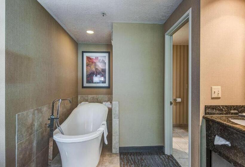 总统套房, Best Western Plus Canyonlands Inn