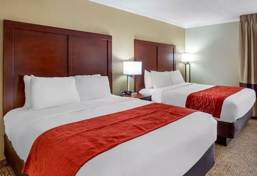２ダブルベッドのスタンダードルーム, Comfort Inn Hoffman Estates  Schaumburg