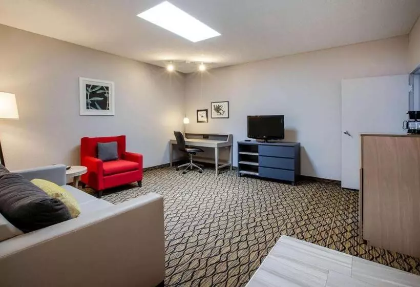 デラックススイート, Days Inn & Suites By Wyndham Rochester Hills Mi