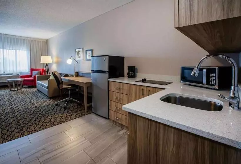 キングサイズベッドのスイートルーム, Days Inn & Suites By Wyndham Rochester Hills Mi