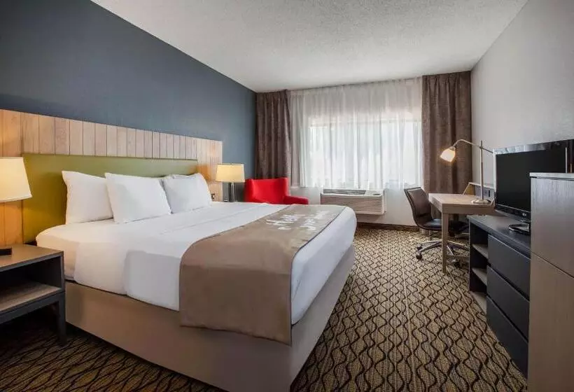 キングサイズベッドのスタンダードルーム, Days Inn & Suites By Wyndham Rochester Hills Mi