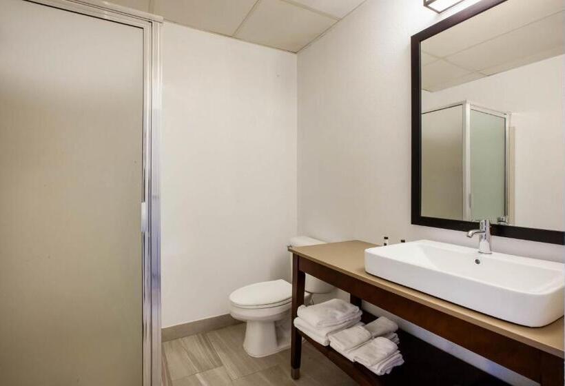 חדר סטנדרט עם מיטת קינג, Days Inn & Suites By Wyndham Rochester Hills Mi