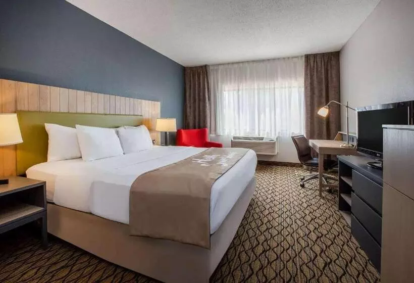 キングサイズベッドのスタンダードルーム, Days Inn & Suites By Wyndham Rochester Hills Mi