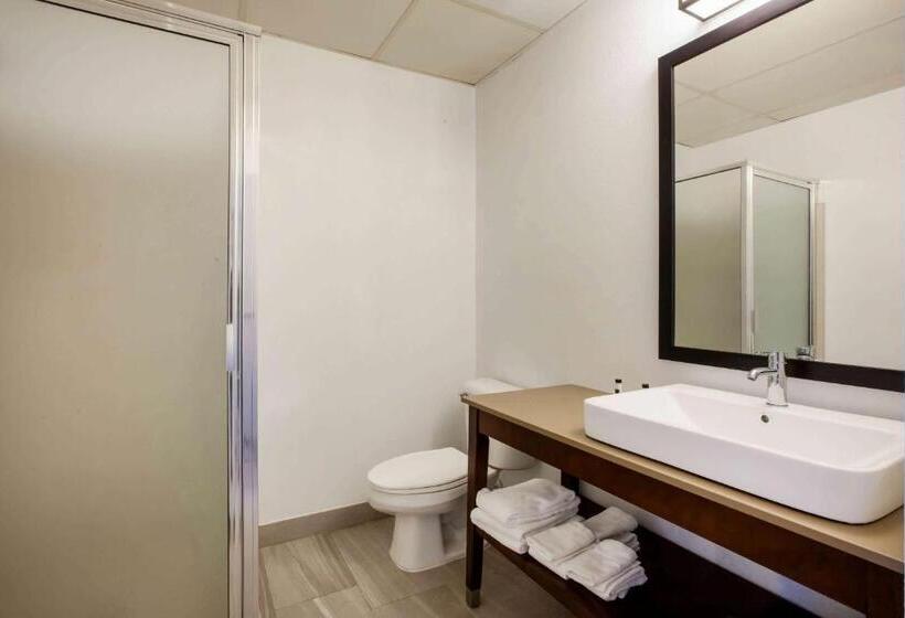 חדר סטנדרט, Days Inn & Suites By Wyndham Rochester Hills Mi