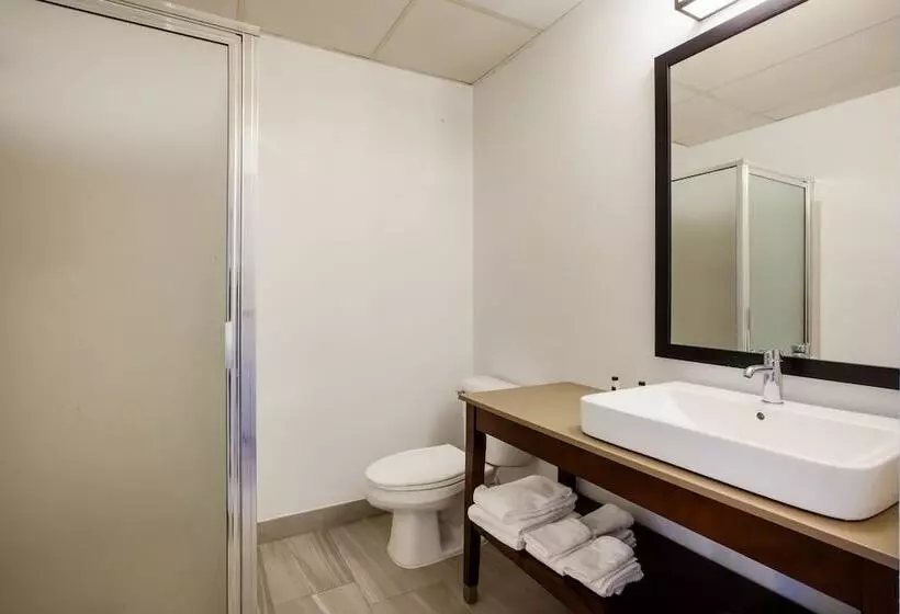 デラックススイート, Days Inn & Suites By Wyndham Rochester Hills Mi