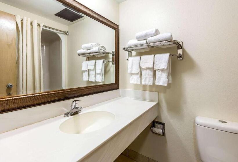 标准间, Econo Lodge Inn & Suites