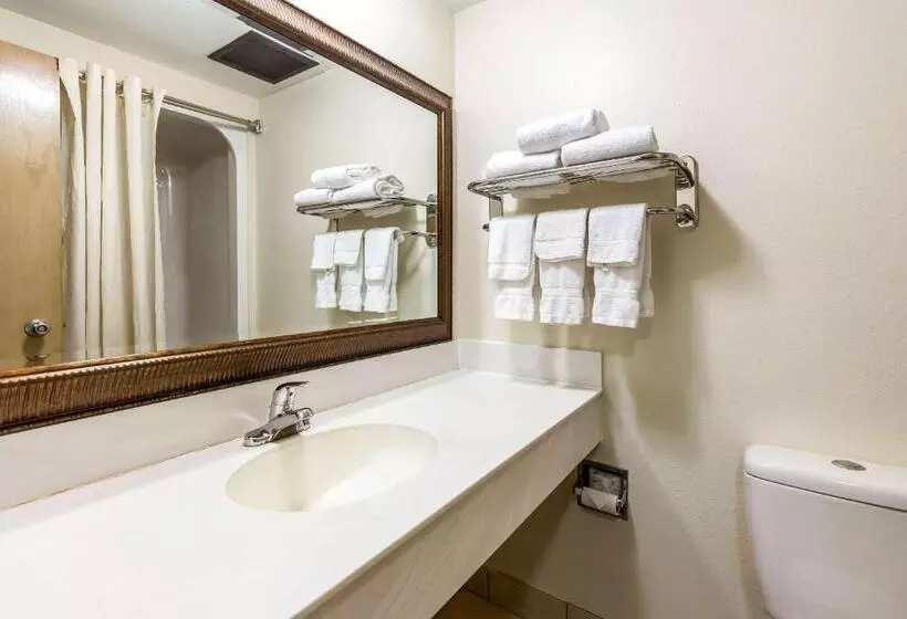 スタンダードルーム, Econo Lodge Inn & Suites