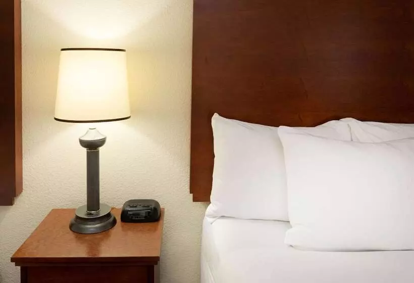 اتاق لوکس, La Quinta Inn By Wyndham Minneapolis Airport Bloomington