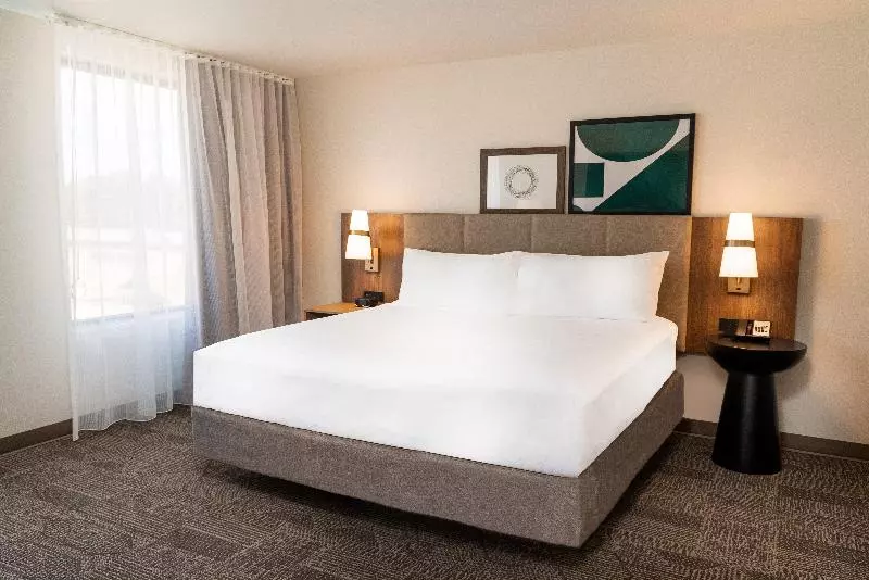 キングサイズベッドのデラックスルーム, La Quinta Inn By Wyndham Tampa Near Busch Gardens