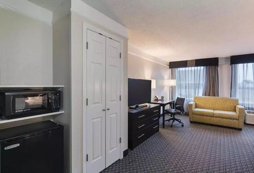 キングサイズベッドのスタンダードルーム, La Quinta By Wyndham Austin Round Rock