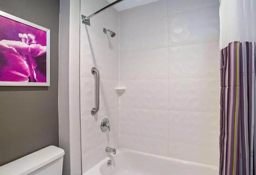 اتاق استاندارد برای معلولان, La Quinta By Wyndham Hartford Bradley Airport