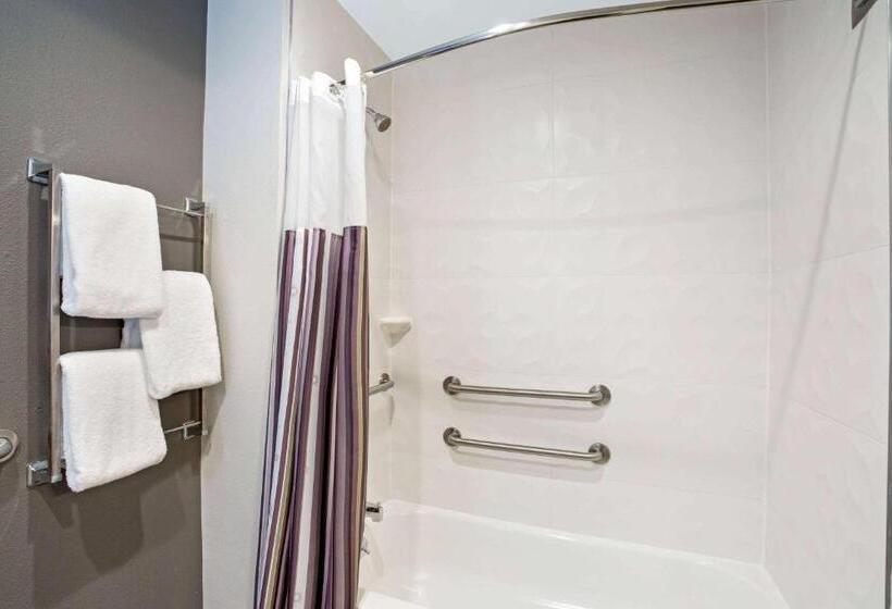 اتاق استاندارد برای معلولان, La Quinta By Wyndham Hartford Bradley Airport