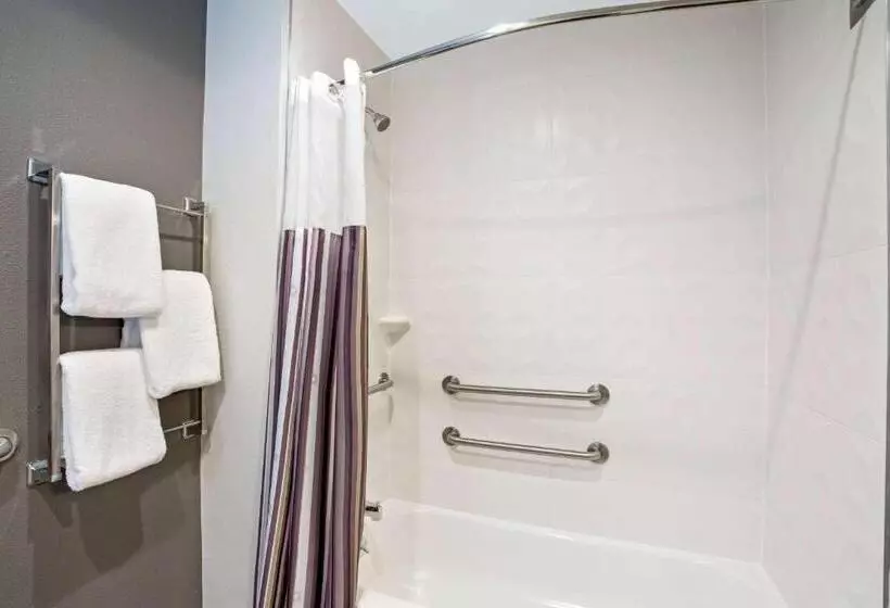 اتاق استاندارد برای معلولان, La Quinta By Wyndham Hartford Bradley Airport