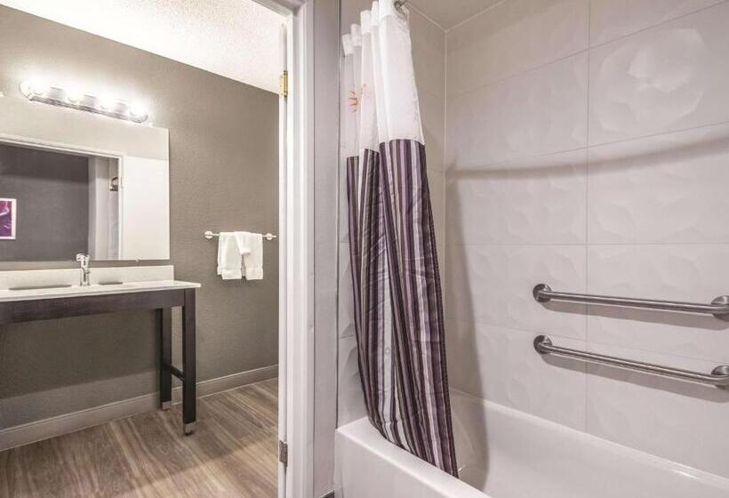 اتاق استاندارد برای معلولان, La Quinta By Wyndham Hartford Bradley Airport