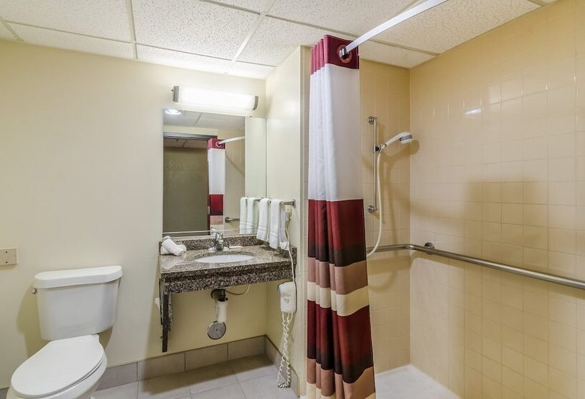 디럭스 룸, Red Roof Inn & Conference Center Wichita Airport