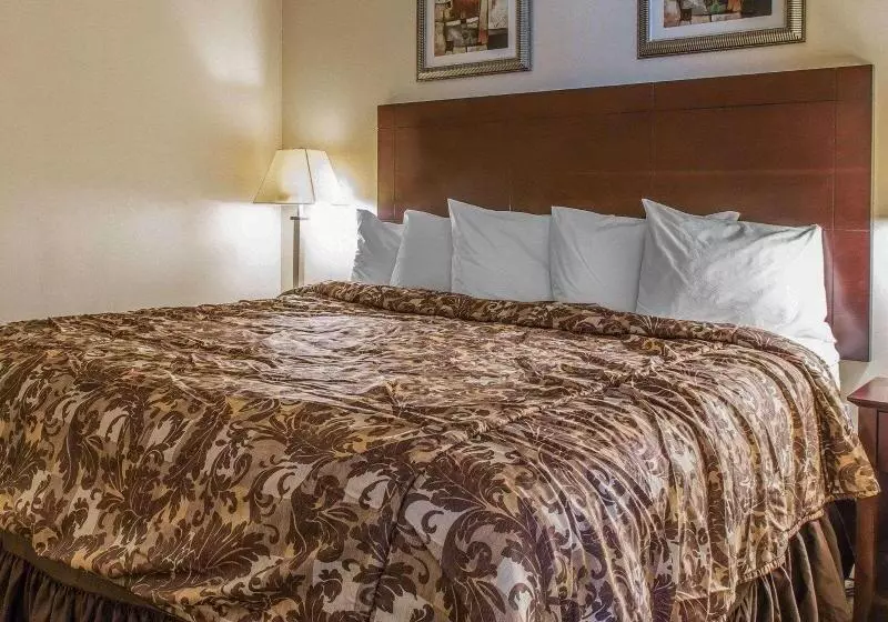 キングサイズベッドのスイートルーム, Rodeway Inn & Suites