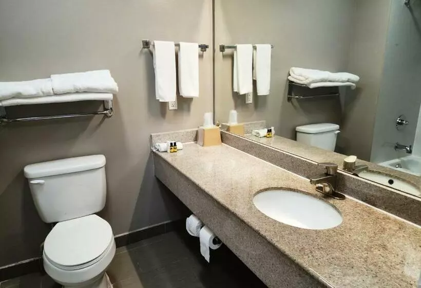 キングサイズベッドのスタンダードルーム, Motel 6ennis, Tx