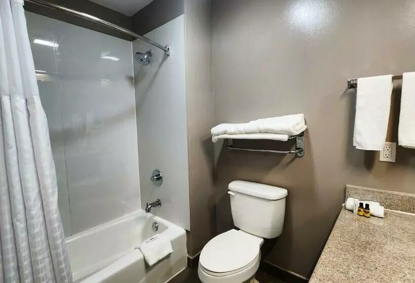 キングサイズベッドのスタンダードルーム, Motel 6ennis, Tx