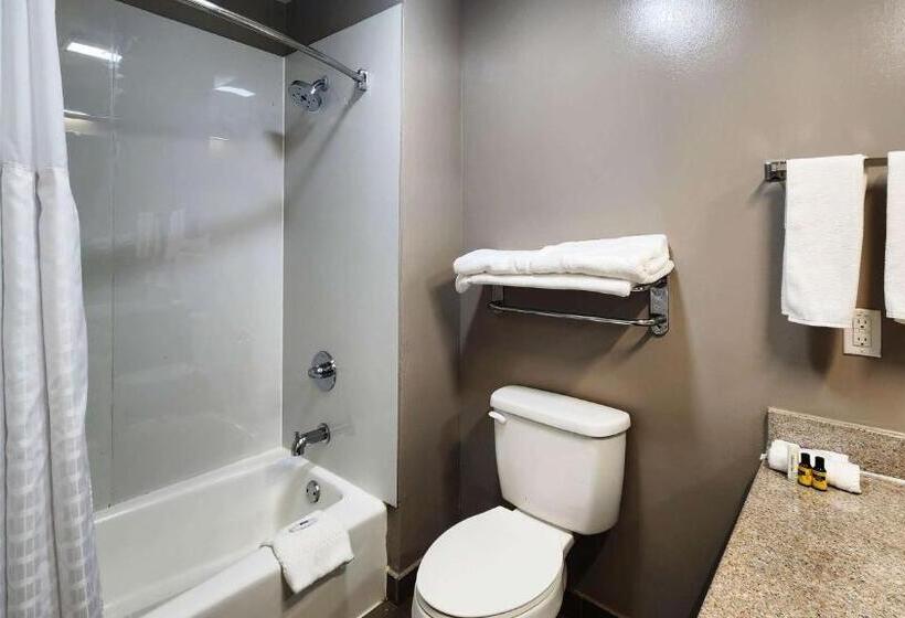 غرفة قياسية سرير كينج, Motel 6ennis, Tx