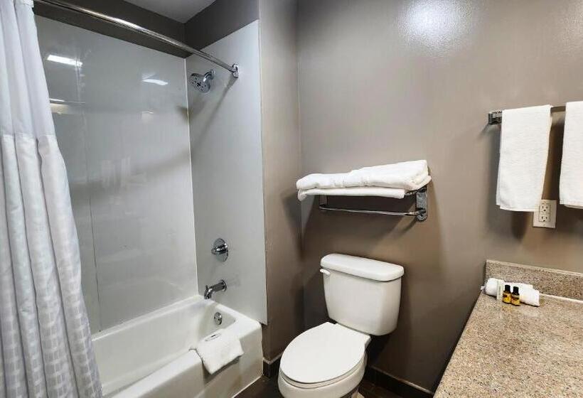 غرفة قياسية, Motel 6ennis, Tx